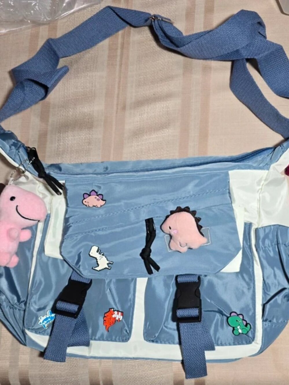 Dinosaurs Decorated Bag!